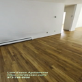 [Video]